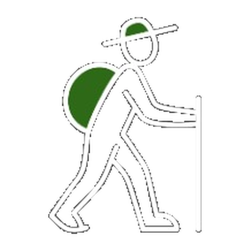 NomadoAI logo